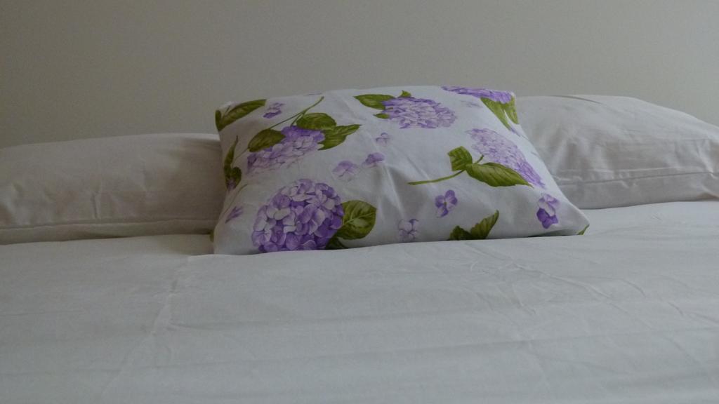 Watching Azores Apartment Ponta Delgada المظهر الخارجي الصورة